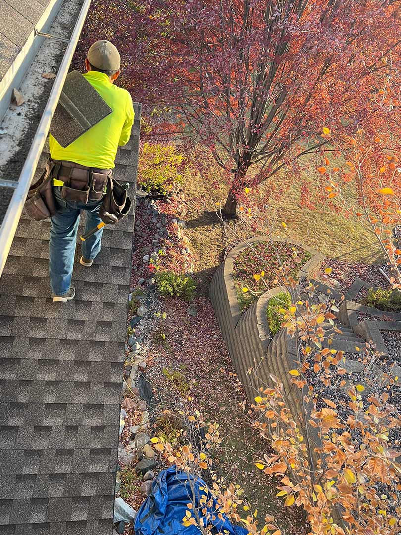 Roof Maintenance